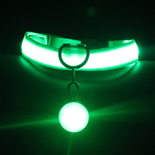 Pet Collar Luminous Fashion