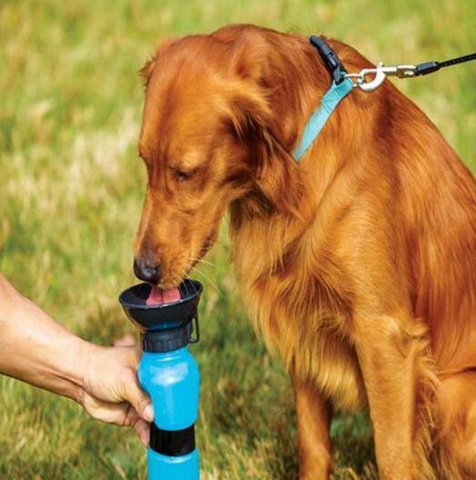 Portable Water Bottle For Pets